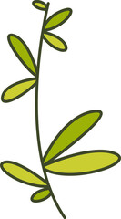 decorative leaves illustration