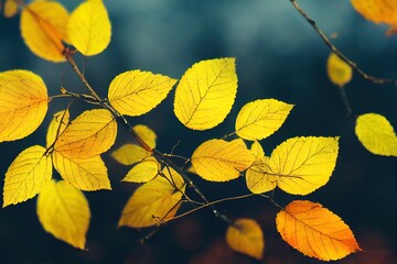 Obraz premium Frosted trees with yellow leaves on the shore of lake. Macro image, shallow depth of field. Autumn nature background