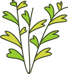 decorative leaves illustration