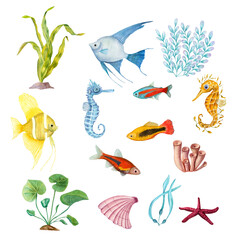 Watercolor illustration of a set of marine fauna isolated on white background. Angelfish, starfish, shells, corals, seahorse, seaweed, plants, water, sea, ocean. Print design poster fabric decoration