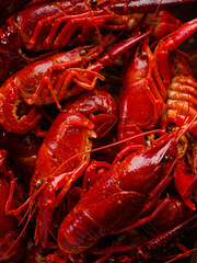 Close-up. Lots of big boiled crayfish. Seafood recipes. Healthy food, lots of protein. Restaurant, hotel, home cooking, recipe book, food blog. Advertising, banner, invitation.