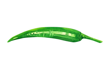 Green chili pepper. A hot spice. Watercolor illustration hand drawn.
