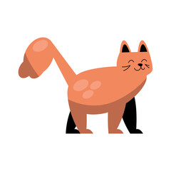 cute orange cat walking