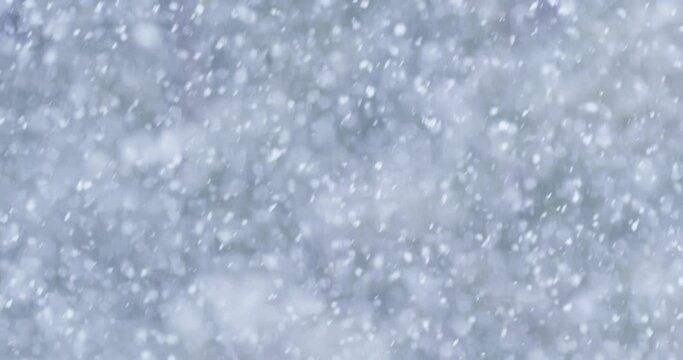 Winter storm with heavy snowfall, snowflakes on cold frozen background