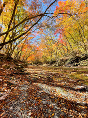 鈴鹿山脈　紅葉