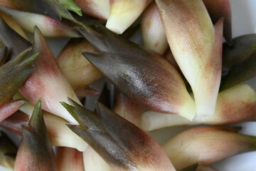 たくさんの茗荷