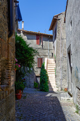 Fototapeta na wymiar Cité médiévale en Italie