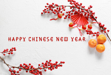 Beautiful greeting card for Chinese New Year