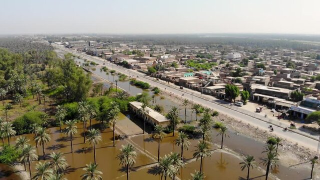 Aerial shot of Palm trees across highway at Khairpur Sindh with beautiful city in the background.
