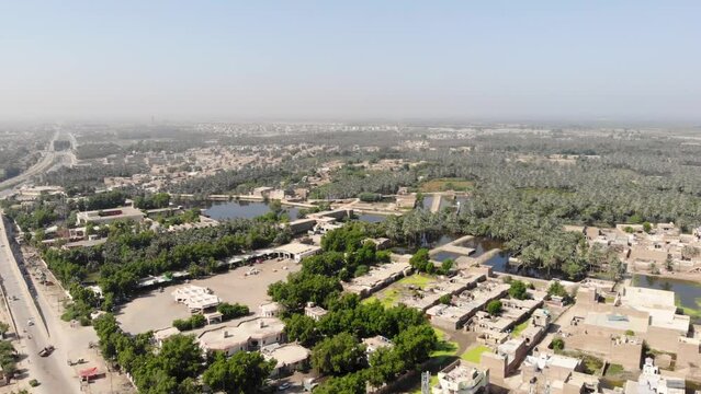 Aerial shot of beautiful city of Khairpur in Sindh with number of houses near a palm tree forest.