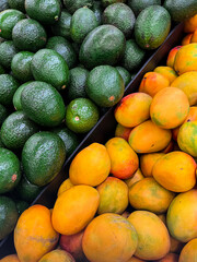 Tasty avocados and mangoes as background