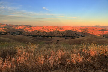 Golden hour in the East Bay hills near Livermore, California