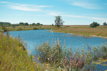 Tranquility on a small river in rural Russia. Sunny summer panorama with a river