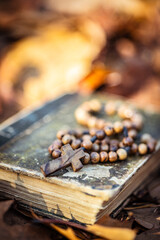 Wooden rosary beads and holy bible book lying on autumn leaves.