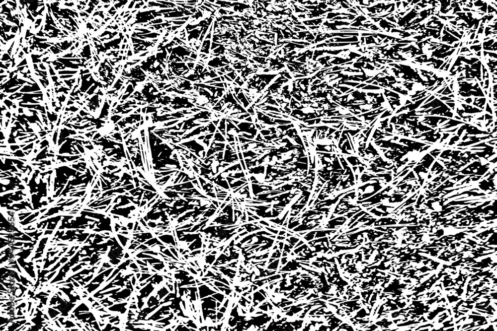 Poster grunge texture of a rough surface with twigs, small particles, specks and grain. abstract monochrome