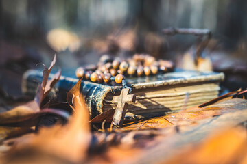 Wooden rosary beads and holy bible book lying on autumn leaves.
