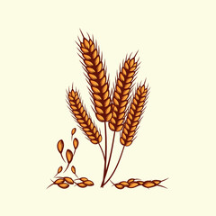 Hand drawn yellow golden colored of wheat ears cereals barley illustration in vintage and retro style on white background