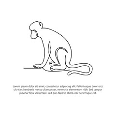 Monkey line design. Wildlife decorative elements drawn with one continuous line. Vector illustration of minimalist style on white background.