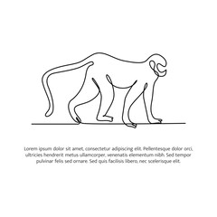 Monkey line design. Wildlife decorative elements drawn with one continuous line. Vector illustration of minimalist style on white background.