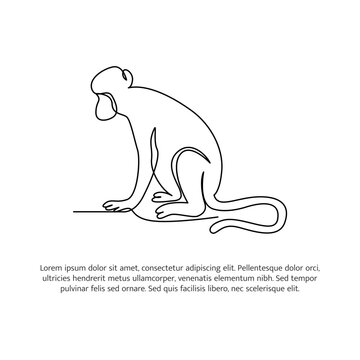 Monkey line design. Wildlife decorative elements drawn with one continuous line. Vector illustration of minimalist style on white background.