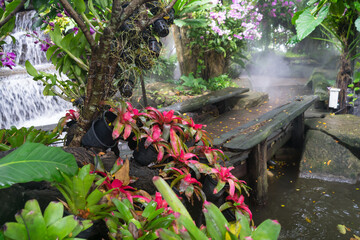 wooden walk way for take a break and study the nature on summer day with sunlight in the Blooms Orchid garden. A shot of national beautiful with park.