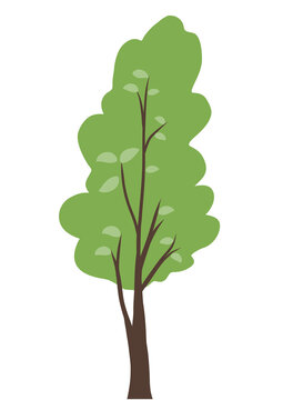 Tree for cartoon animation and others