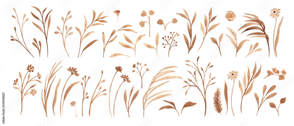 Wall mural Set of beige, sepia plants, herbs, flowers, leaves. Watercolor botanicals.