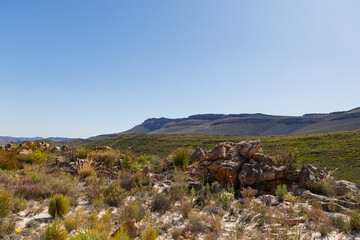Fototapeta na wymiar Landscape in the beautiful Cederberg, Western Cape, South Africa