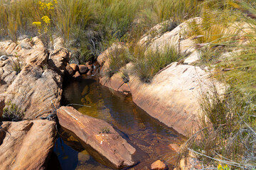 small water ditch in the stony landscape of the Cederberg