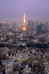 Tokyo tower in the dusk