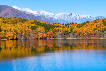 秋の青木湖