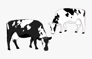 Two cash cows graze in a field, eating grass. Milkmaid in the meadow. Animals that feed on organic meadows. isolated flat illustration of a dairy farm