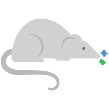 Rat Flat Illustration