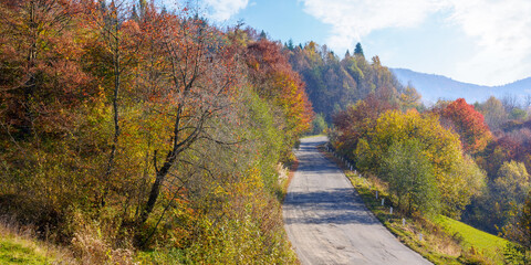 Obraz premium old asphalt rural serpentine in mountains. countryside tourism on a sunny autumn morning. forested hills in colorful foliage. blue sky with fluffy clouds