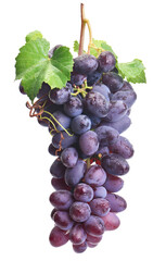 Fototapeta premium Bunch of grapes isolated