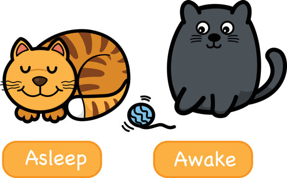 Opposite words asleep and awake vector illustration
