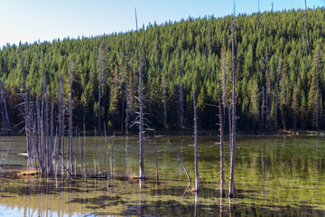 Lake at Yellowstone national park. USA.