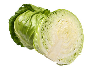 cabbage on a white background