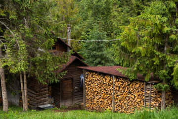 stacked firewood and dry branches. firewood for kindling stoves, barbecue. harvesting firewood for...