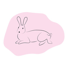 outline rabbit sitting line art with spot isolated on white background, hare for 2023 and easter design