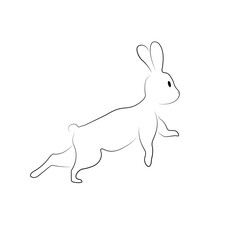 outline rabbit interested standing back view line art with spot isolated on white background, hare for 2023 and easter design