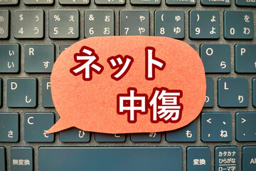 ネットで炎上して中傷される