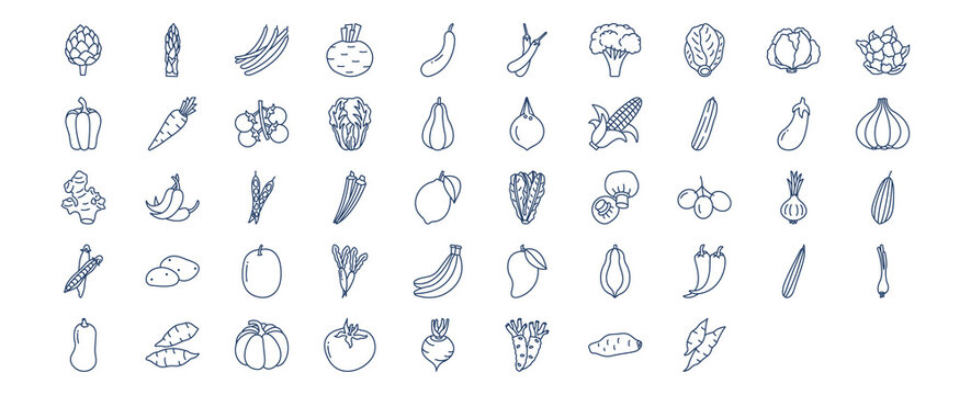 Collection of icons related to Vegetables, including icons like Artichoke, Asparagus, Beans, Beetroot and more. vector illustrations, Pixel Perfect set