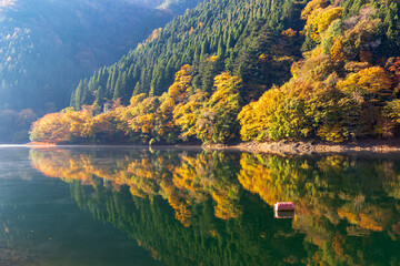 紅葉の奥多摩湖