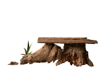 Wood product display podium with nature green leaves for presentation design, isolated on background 