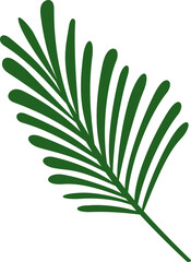 Palm leaf tropical plants