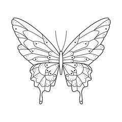 Stylized black line art butterfly. Hand drawn linear ornated vector illustration. Ornament natural insect design