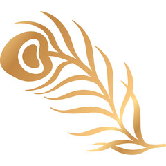 Element design peacock feather nature.Art deco hand drawn style gold color.