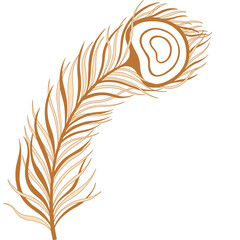 Element design peacock feather nature.Art deco hand drawn style gold color.