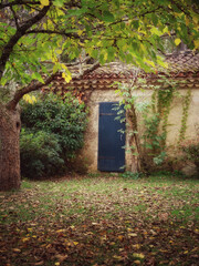 Porte cachée dans jardin ombragé 